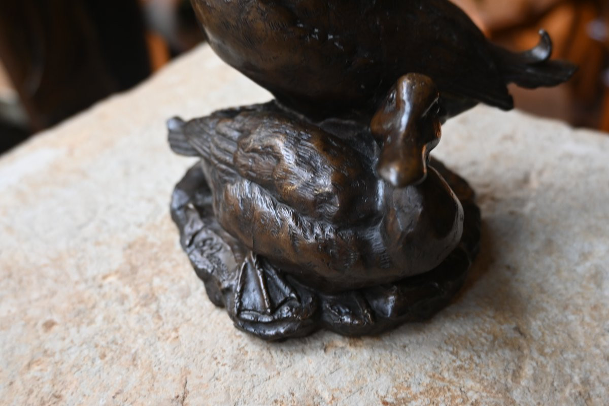 Bronze animalier canard et canne XIX-photo-2