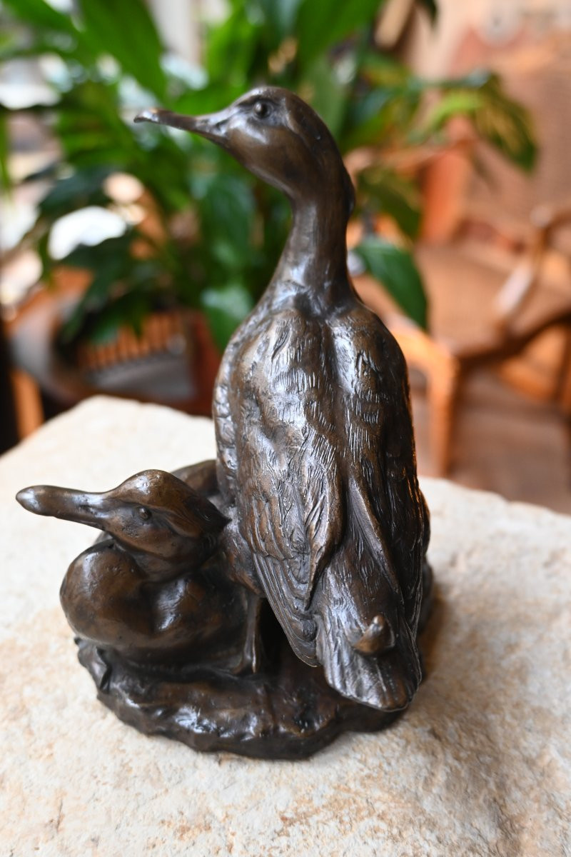 Bronze animalier canard et canne XIX-photo-4
