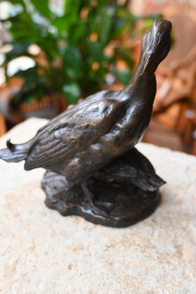 Bronze animalier canard et canne XIX-photo-1