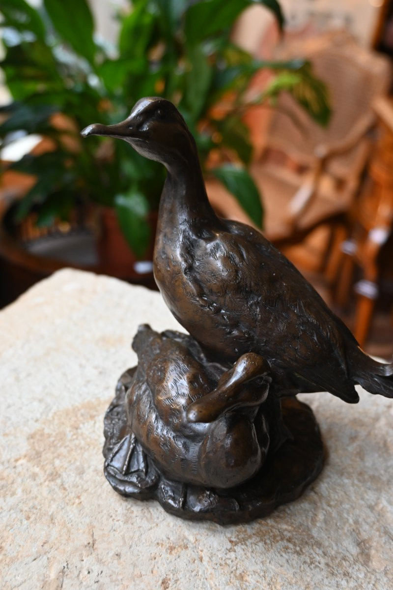 Bronze animalier canard et canne XIX-photo-3