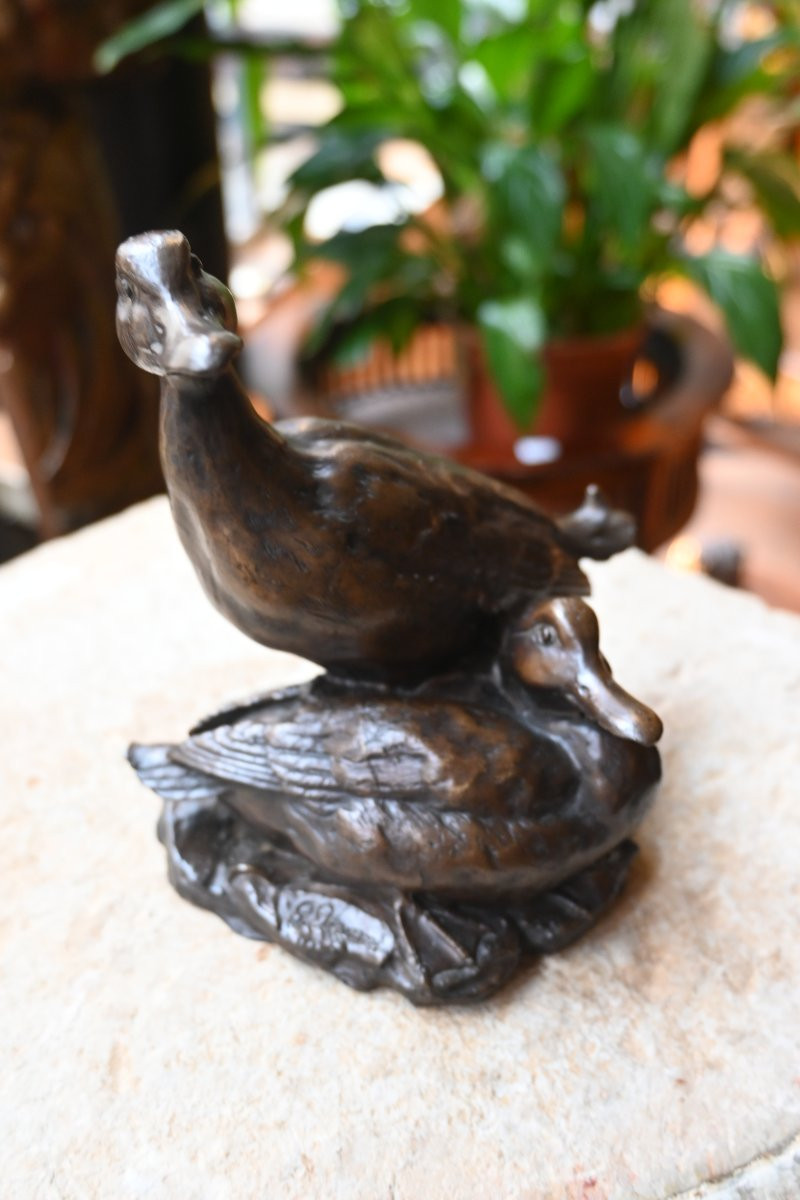 Bronze animalier canard et canne XIX-photo-7