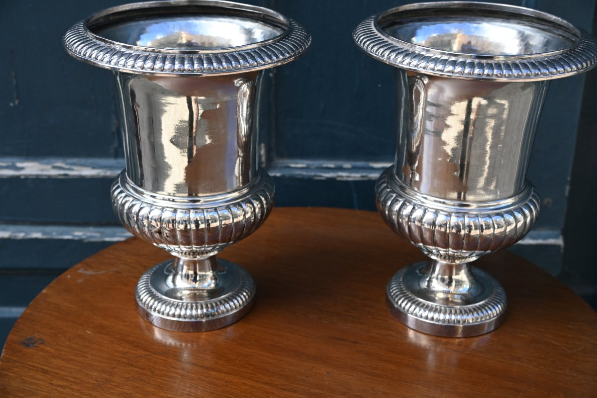 Pair Of Medici Vases, Forming Flower Pots In Louis XVI Silvered Bronze-photo-2
