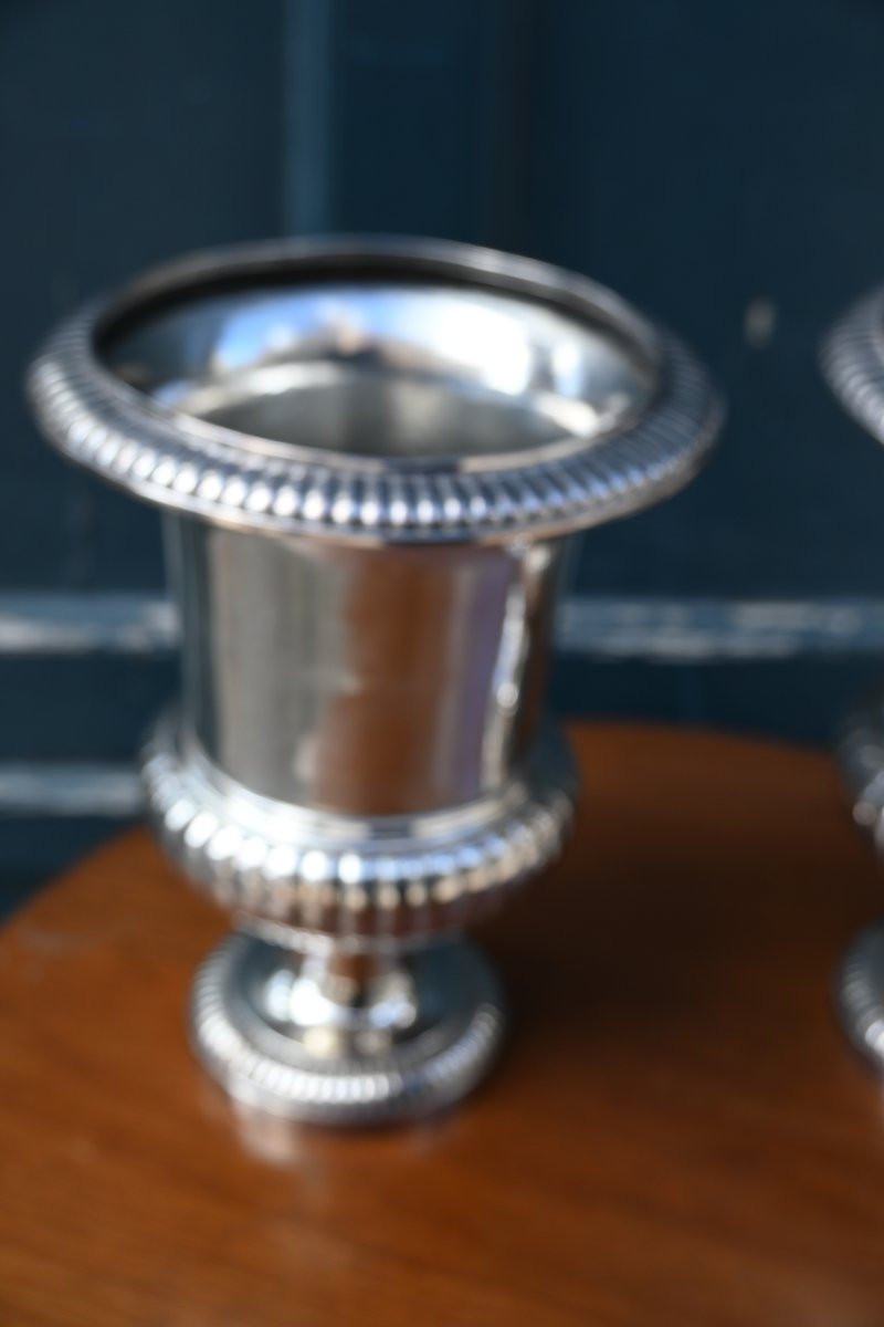 Pair Of Medici Vases, Forming Flower Pots In Louis XVI Silvered Bronze-photo-8