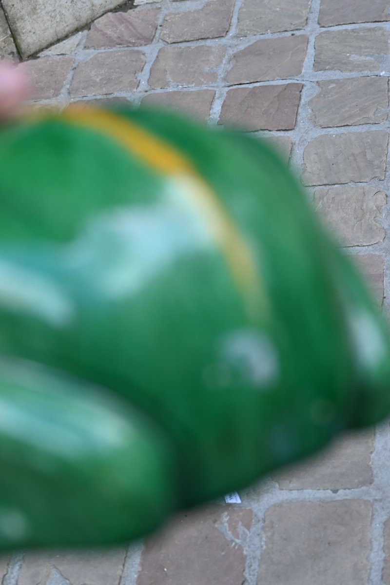 Frog In Planter , Earthenware China-photo-5