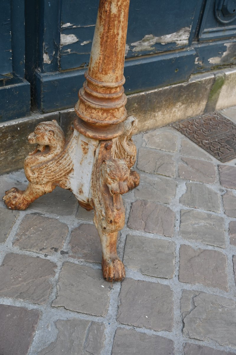 Cast Iron Flare With Griffins XIX-photo-3