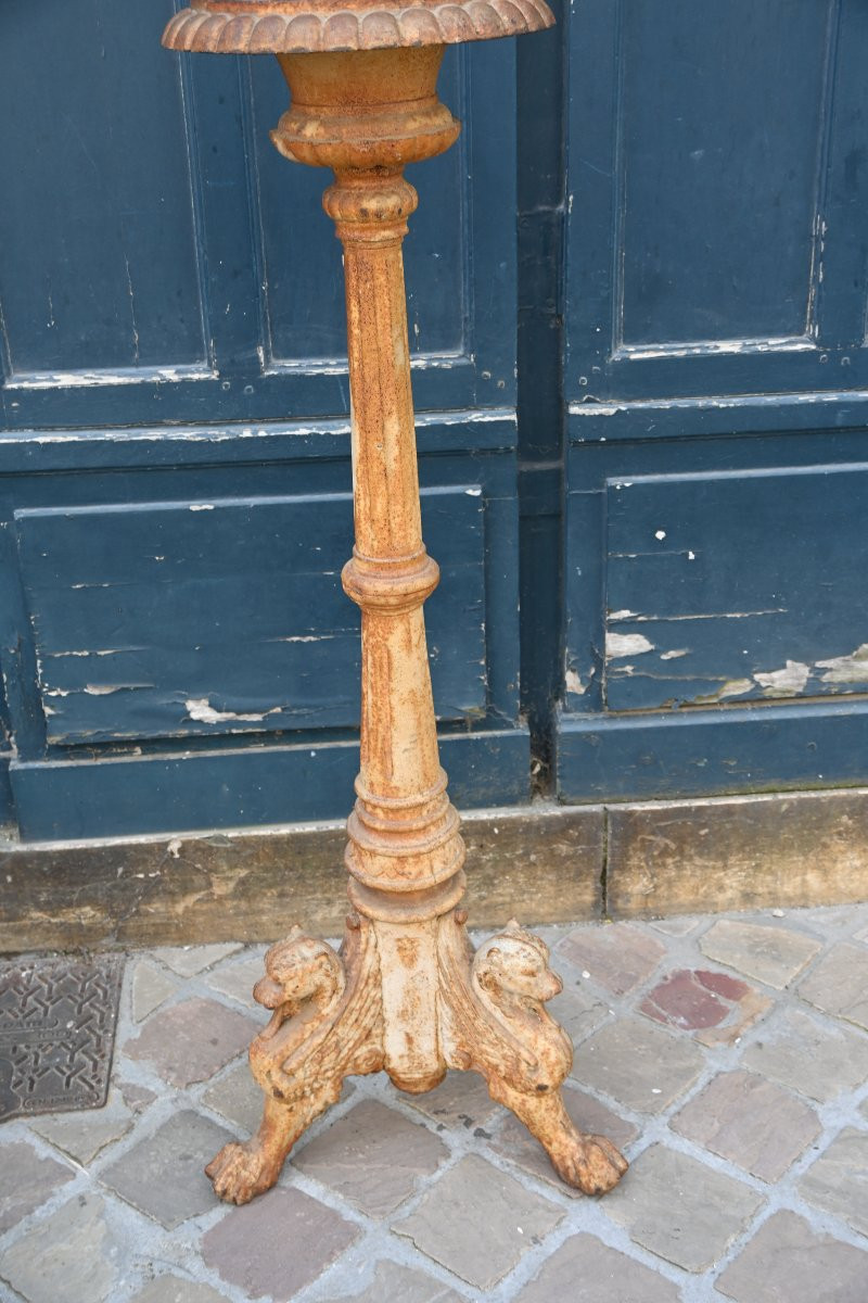 Cast Iron Flare With Griffins XIX-photo-6