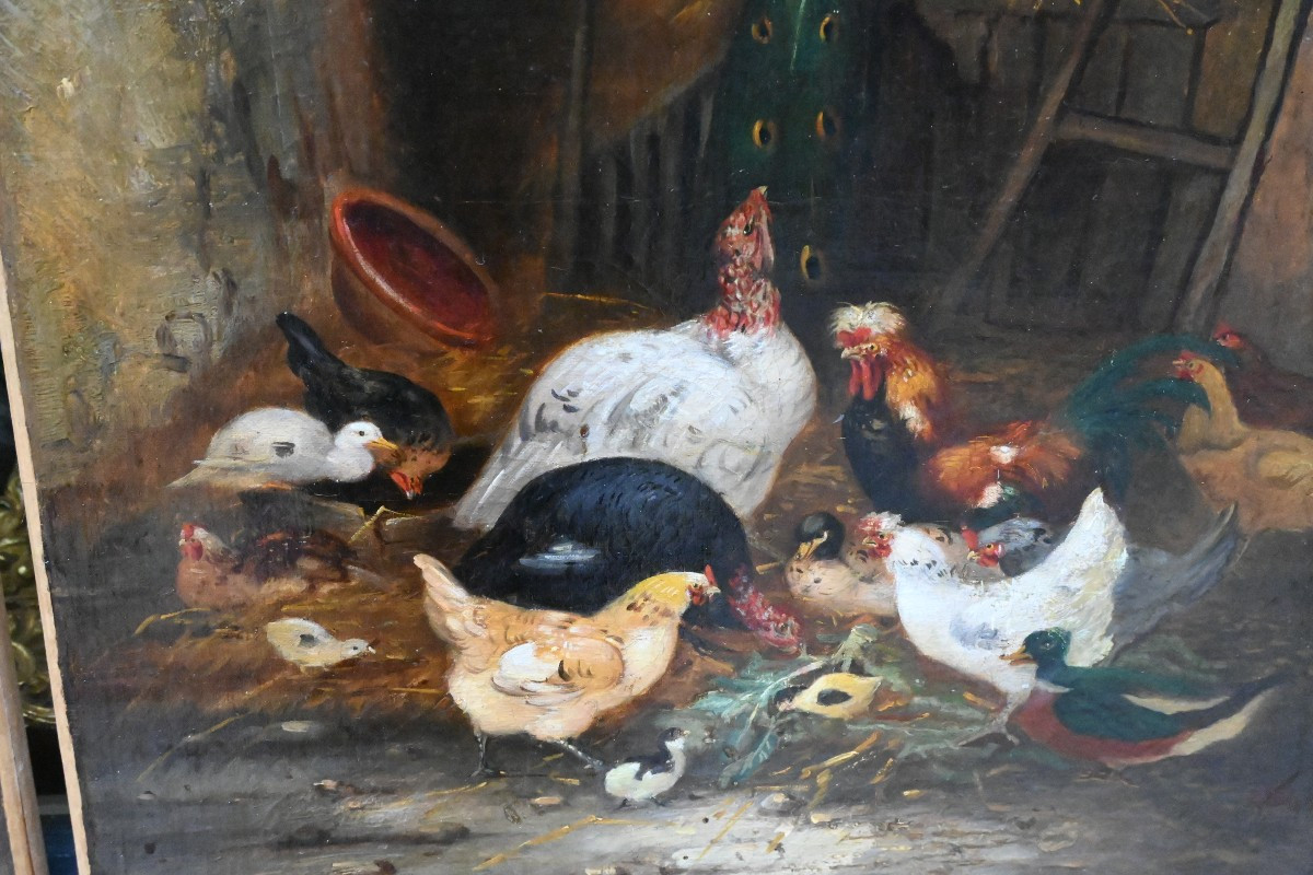 Paire d huiles basse- cour, poules et coqs fin XIX-photo-8