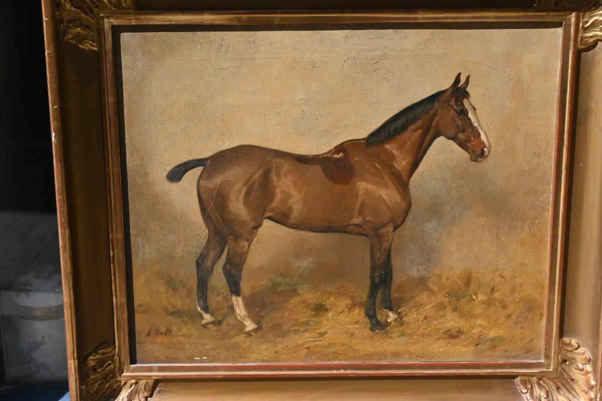 Horse At The Stable , Canvas XIX-photo-2