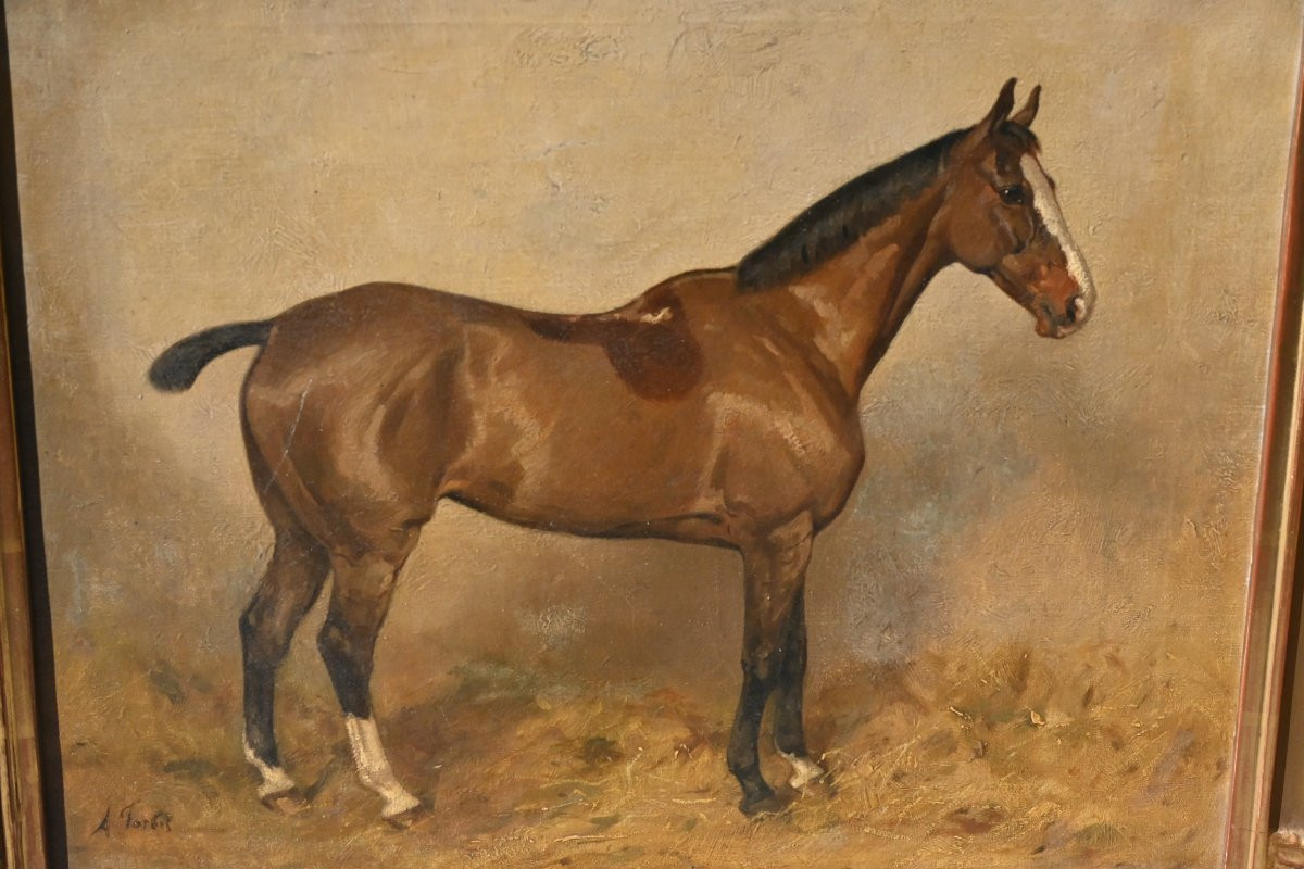 Horse At The Stable , Canvas XIX-photo-3
