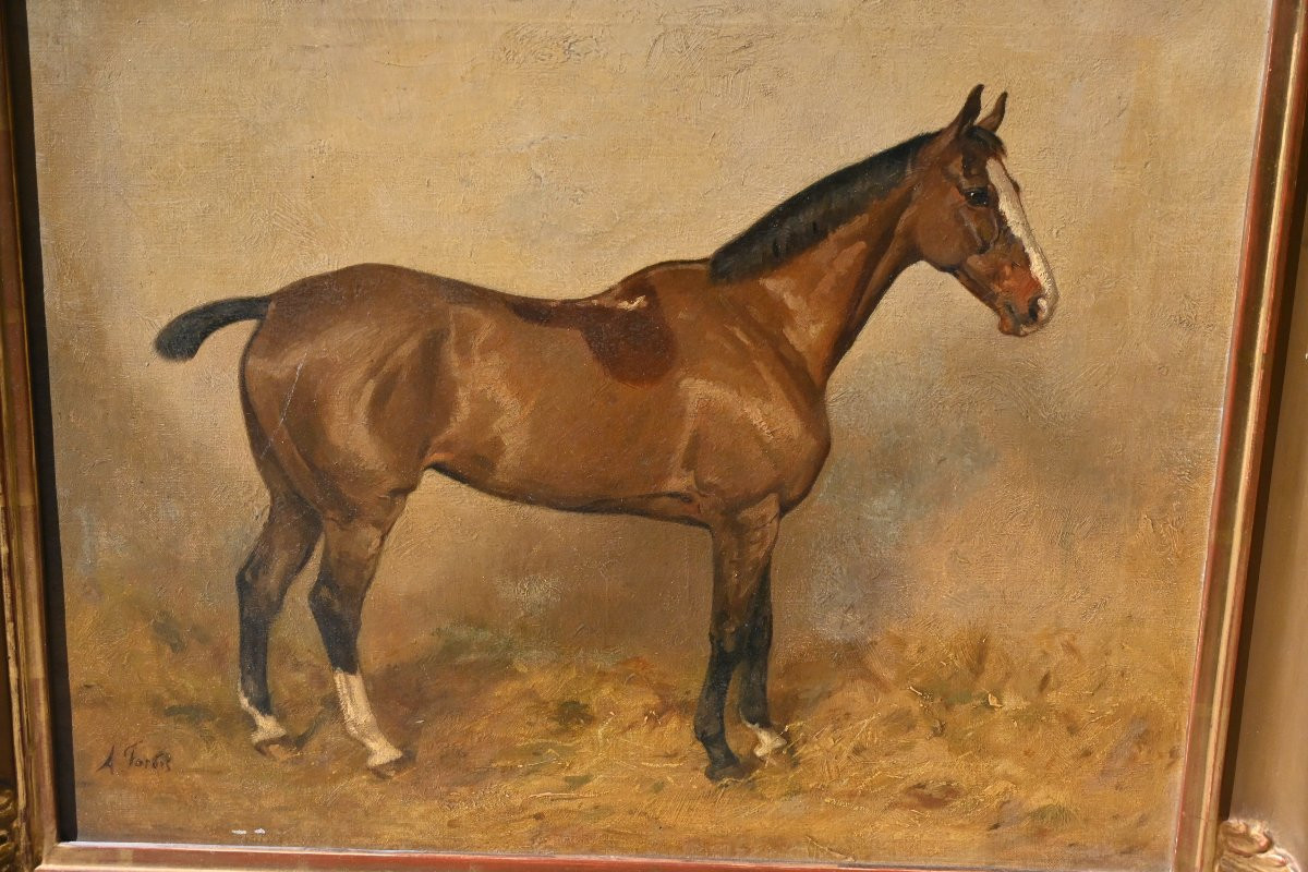 Horse At The Stable , Canvas XIX-photo-4