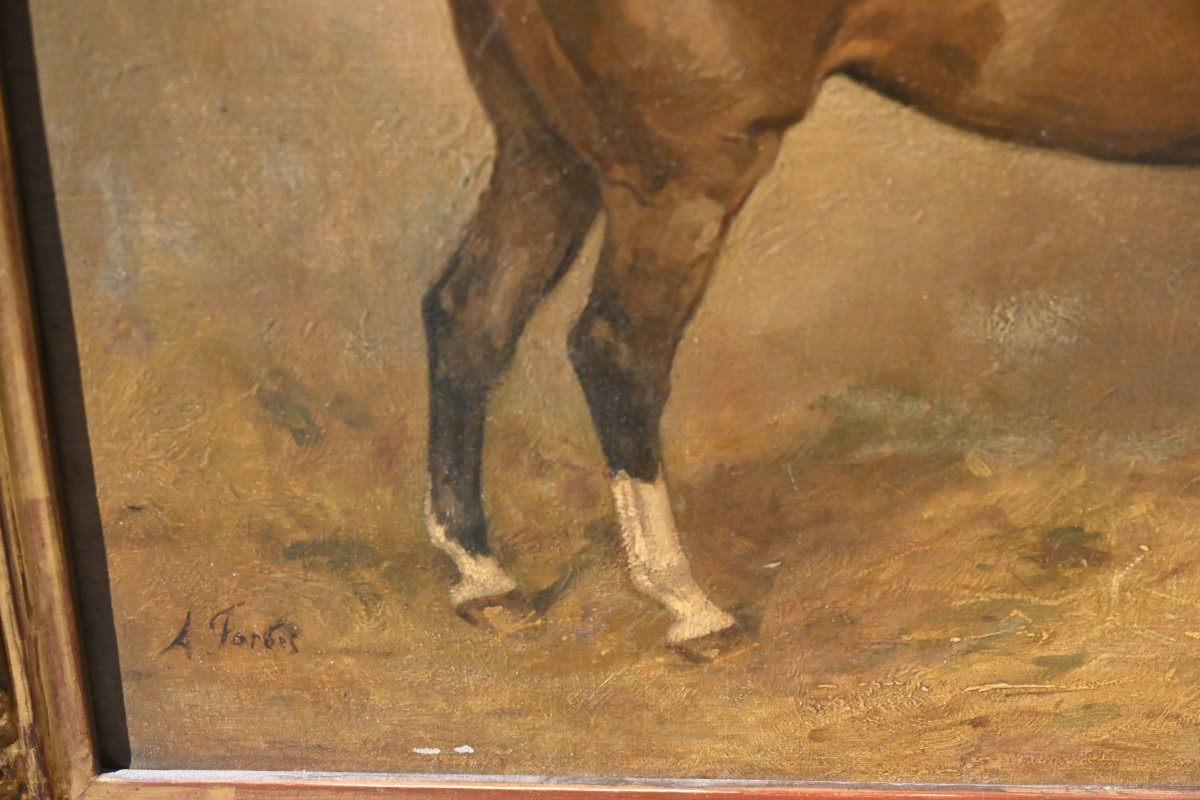 Horse At The Stable , Canvas XIX-photo-1