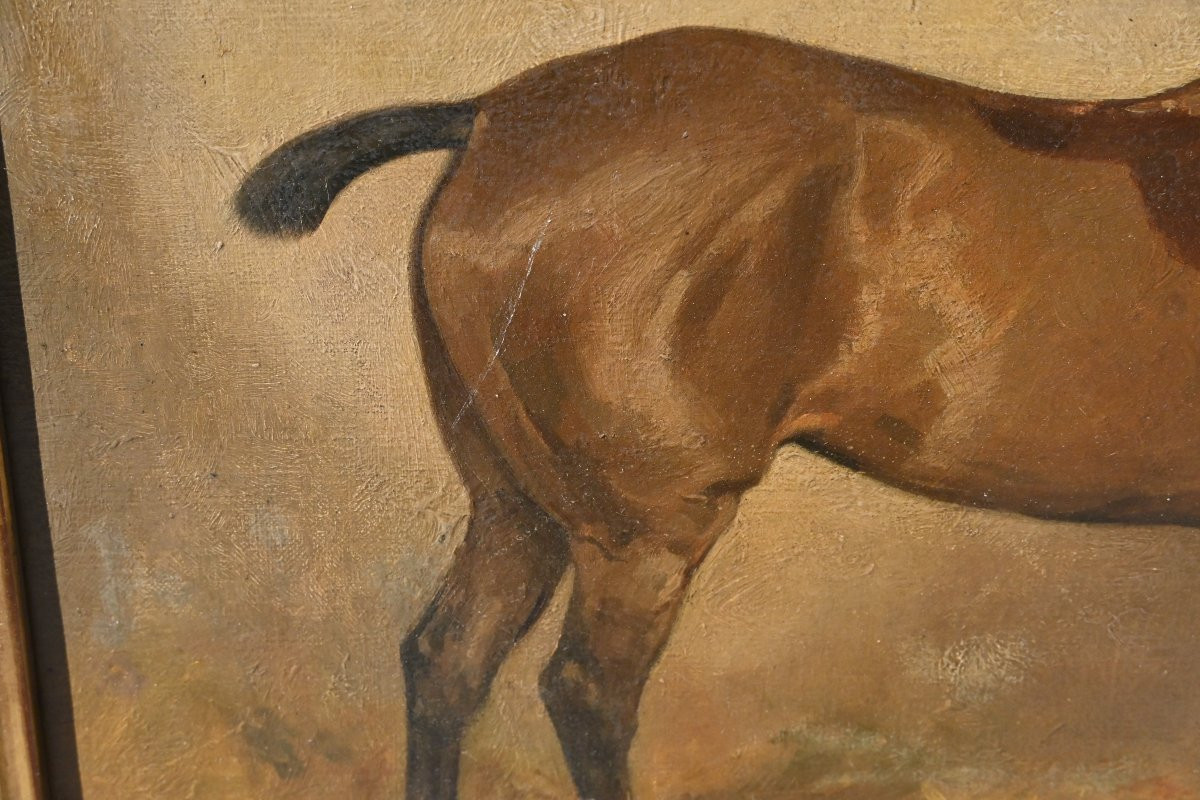 Horse At The Stable , Canvas XIX-photo-2