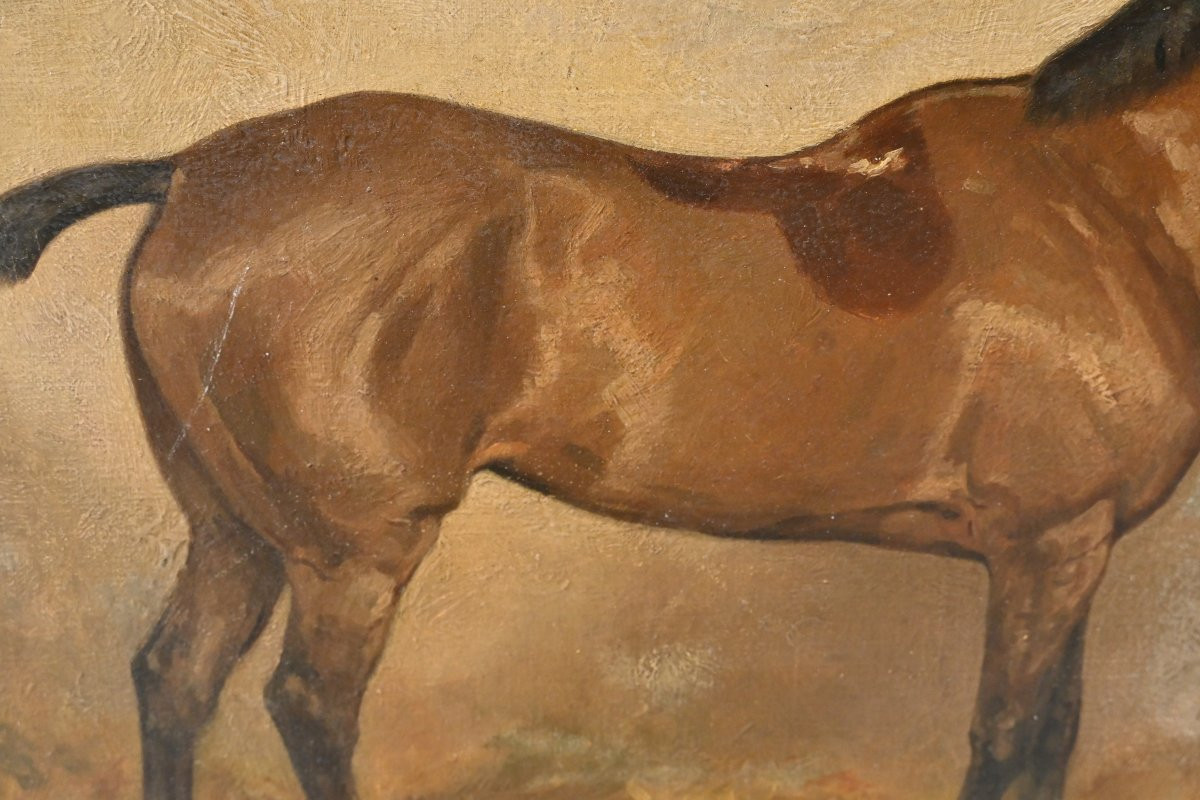 Horse At The Stable , Canvas XIX-photo-3