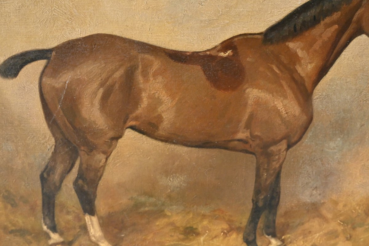 Horse At The Stable , Canvas XIX-photo-4