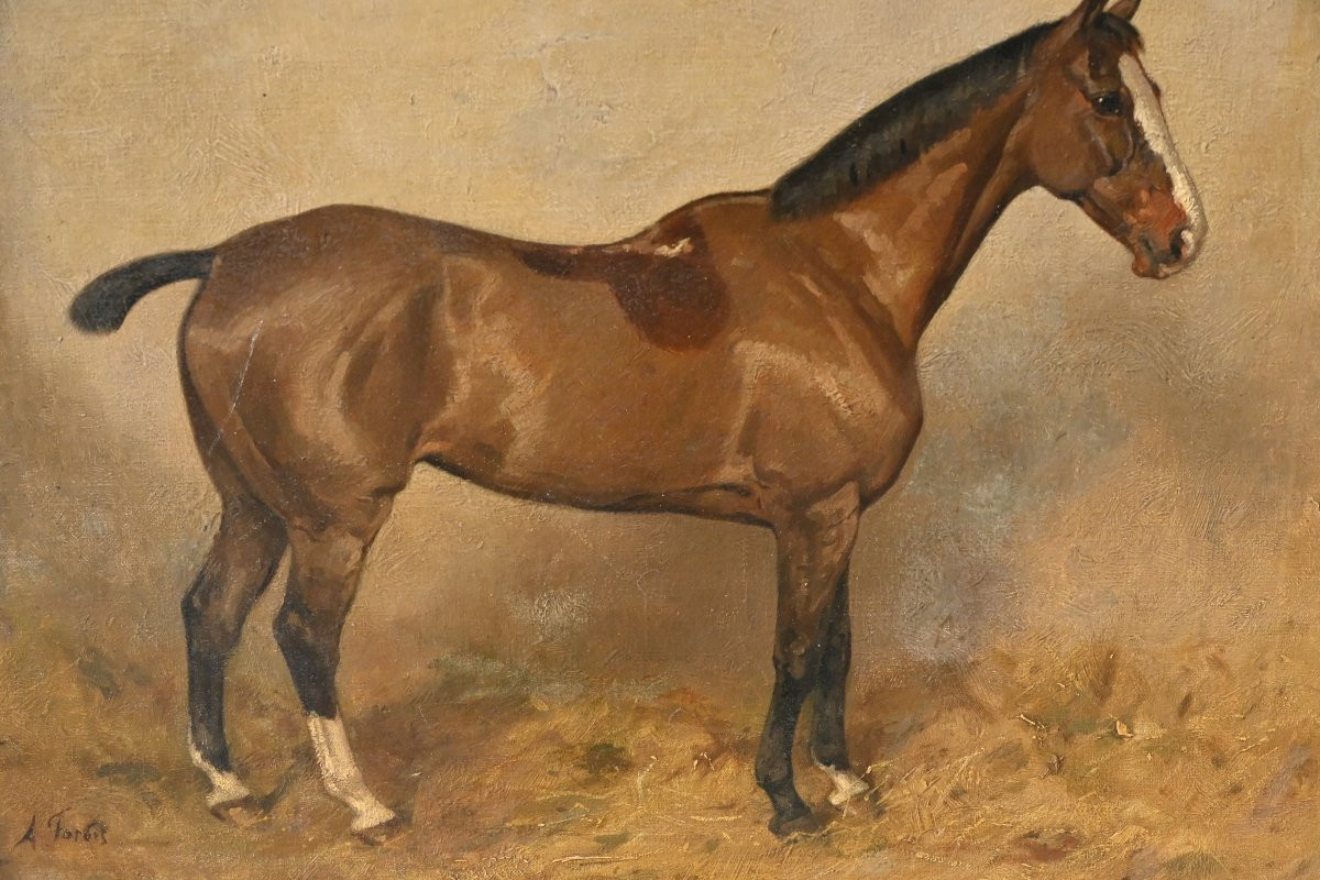 Horse At The Stable , Canvas XIX-photo-5