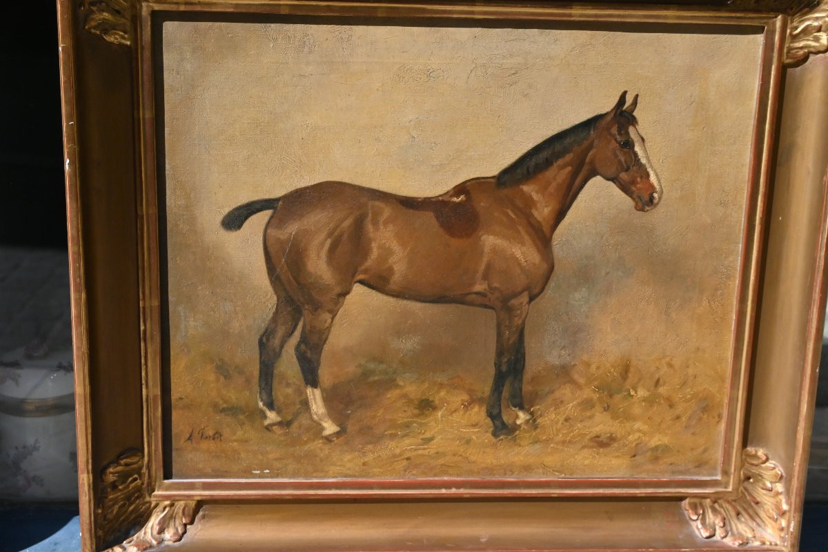 Horse At The Stable , Canvas XIX-photo-6