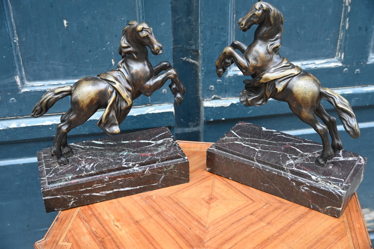 Pair Of Bronze Horses In The Antique Style, 19th Century-photo-2