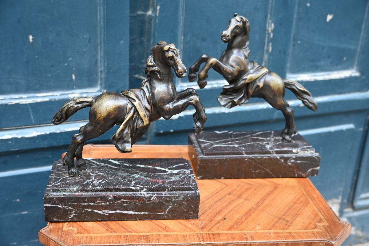 Pair Of Bronze Horses In The Antique Style, 19th Century-photo-4