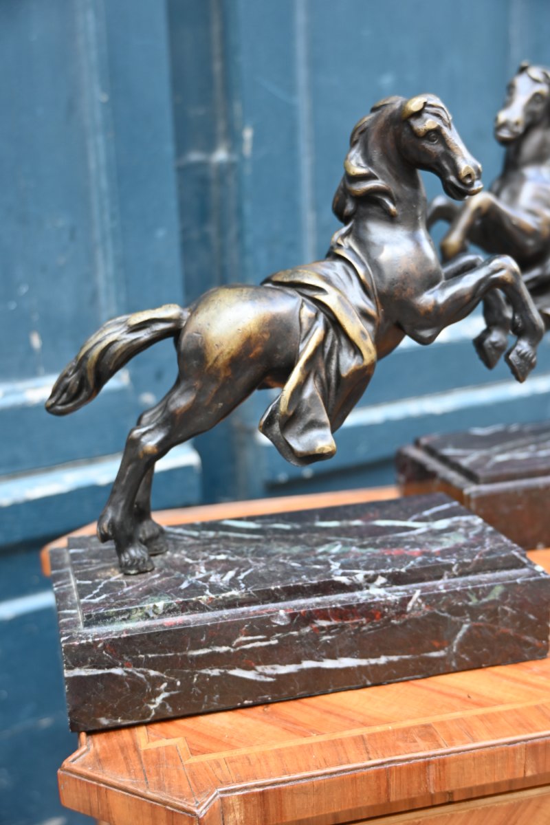Pair Of Bronze Horses In The Antique Style, 19th Century-photo-6