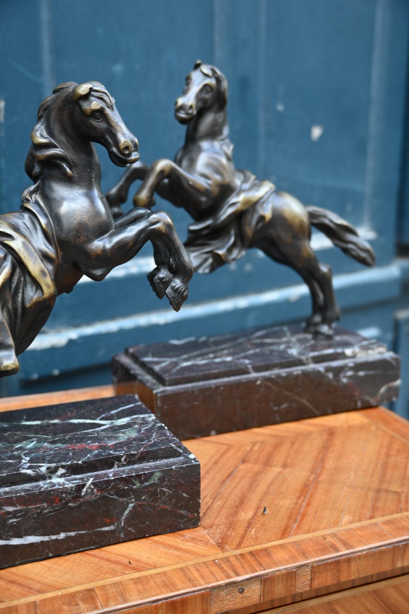 Pair Of Bronze Horses In The Antique Style, 19th Century-photo-7