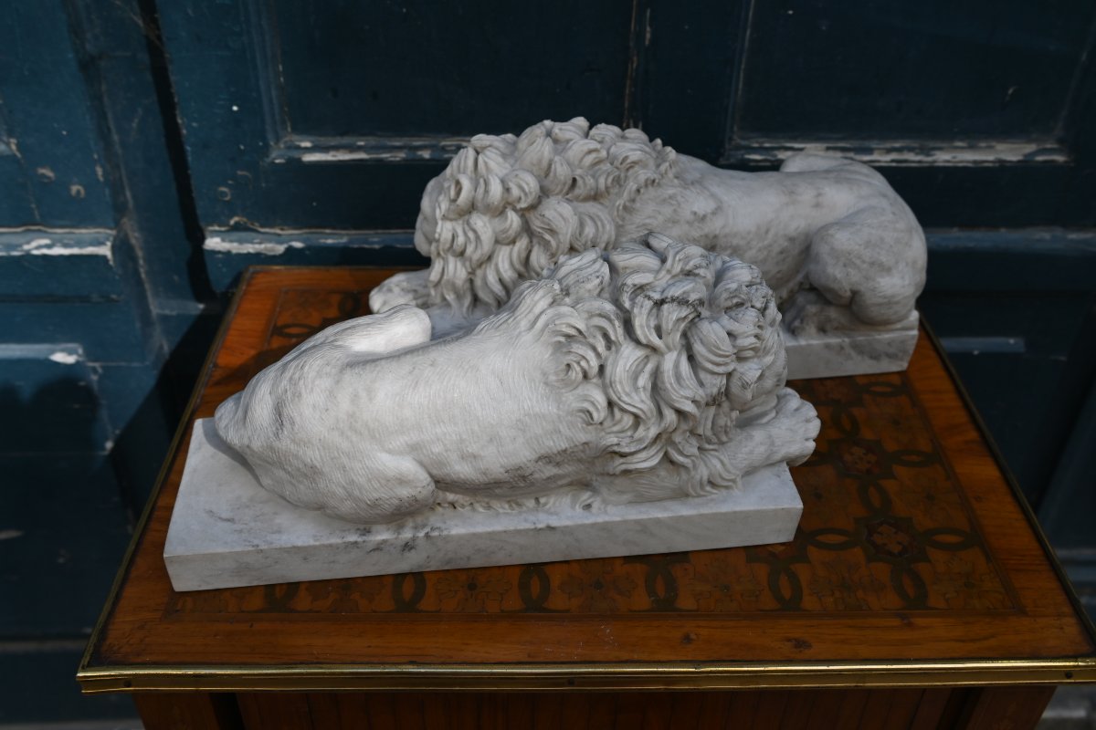 Paire de lions en marbre sculpté d après Canova  , travail de la fin XIX-photo-2