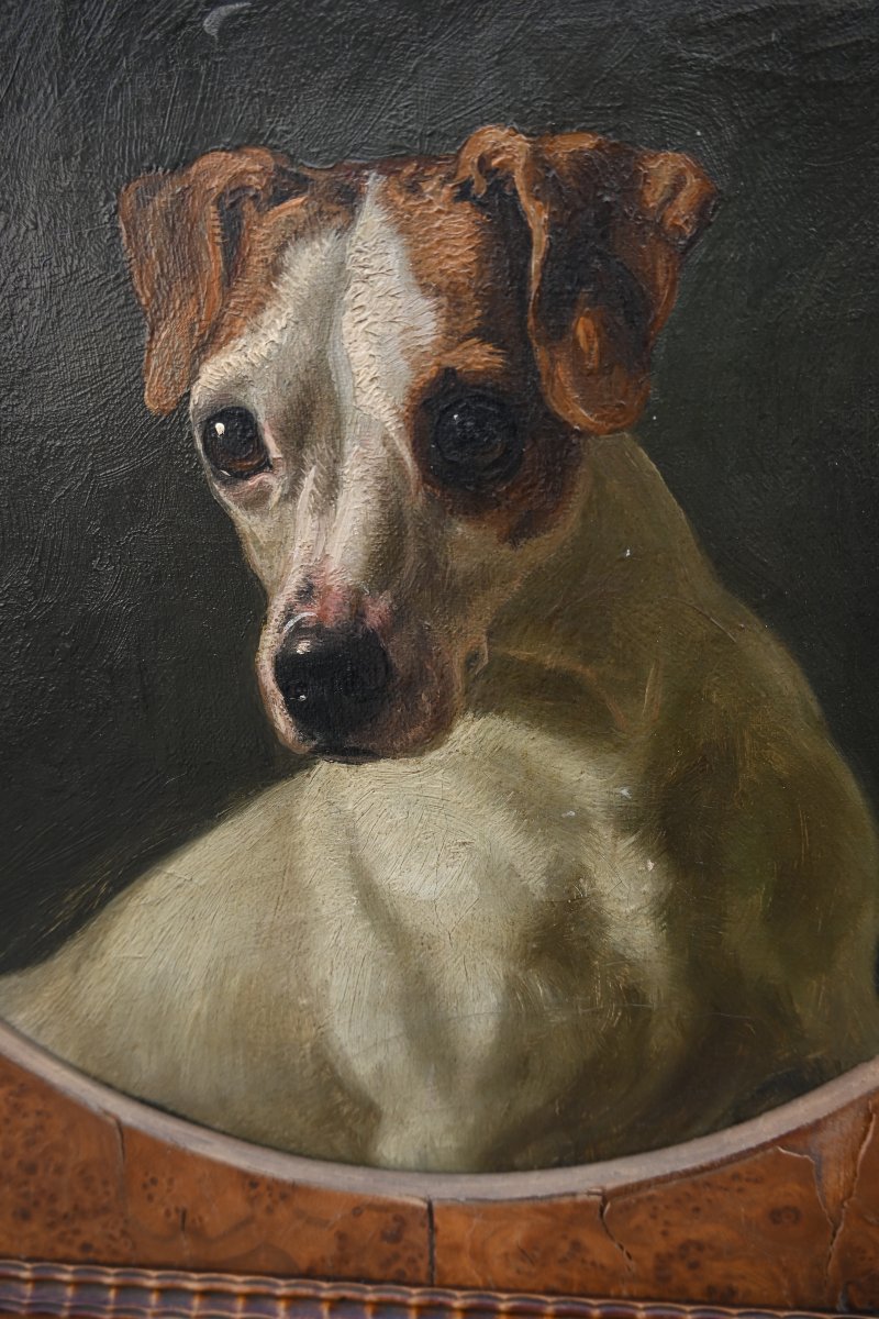 Portrait Of A Dog, 19th-century School-photo-3