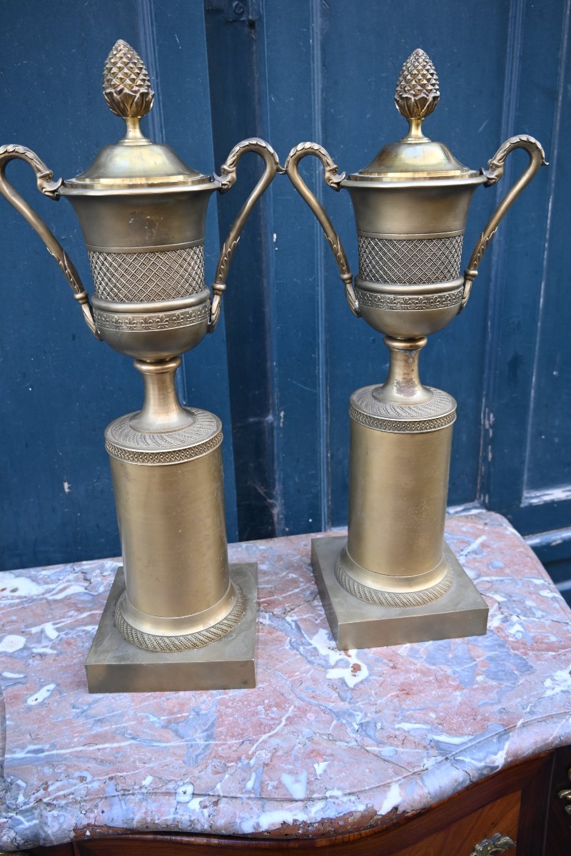 Paire de grandes cassolettes en bronze de style Empire-photo-4