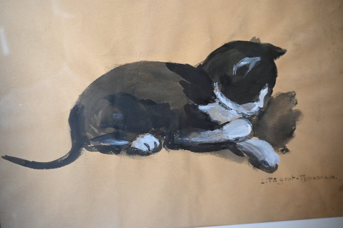 Cat, A Charming Gouache Signed By Pageot Rousseau-photo-1