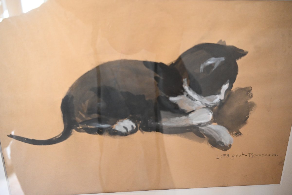 Cat, A Charming Gouache Signed By Pageot Rousseau-photo-5