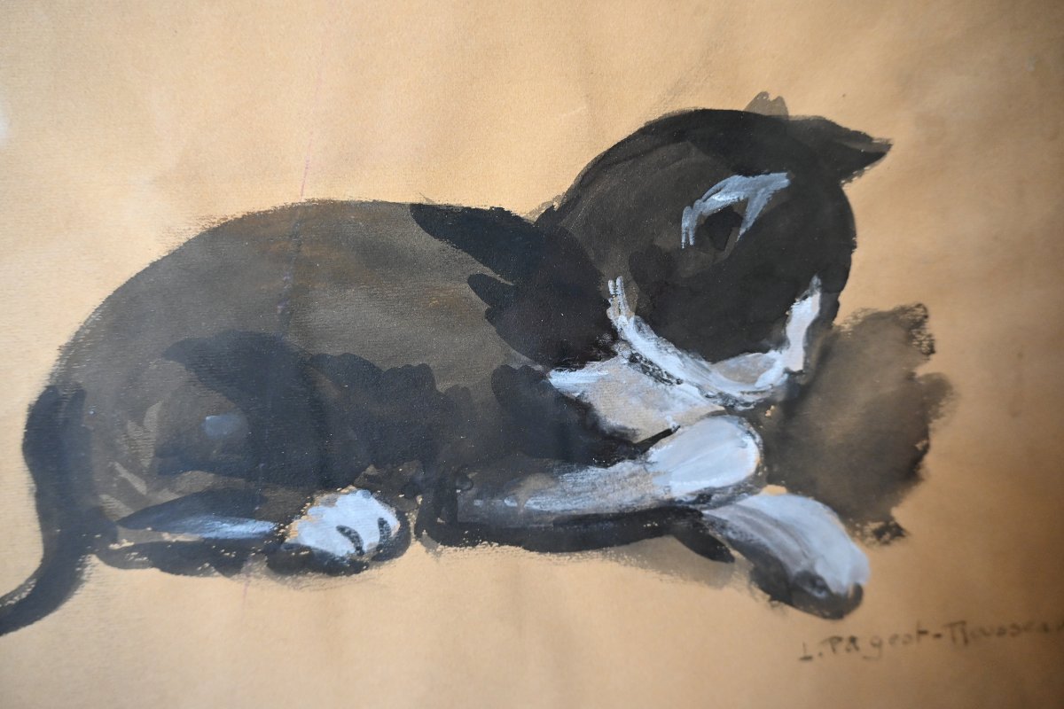 Cat, A Charming Gouache Signed By Pageot Rousseau-photo-6
