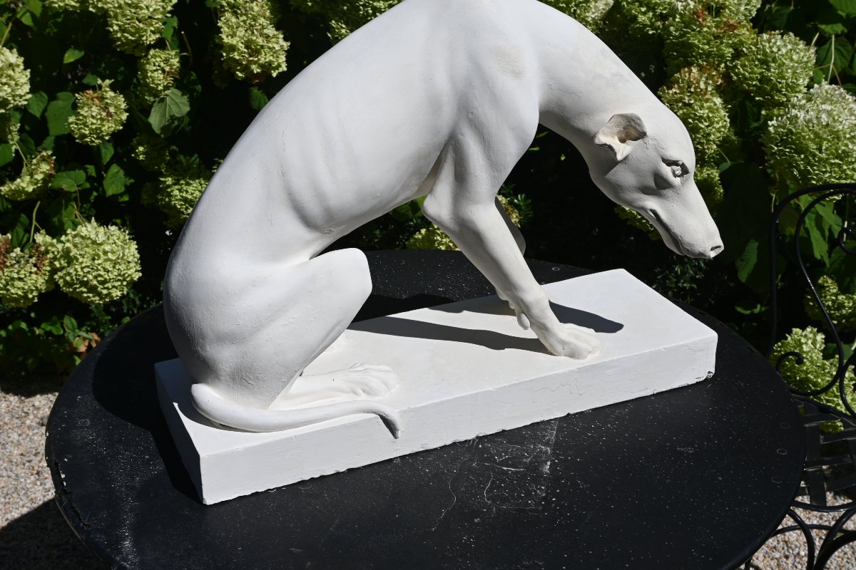 Large Plaster Greyhound Based On An Ancient Marble Sculpture-photo-1
