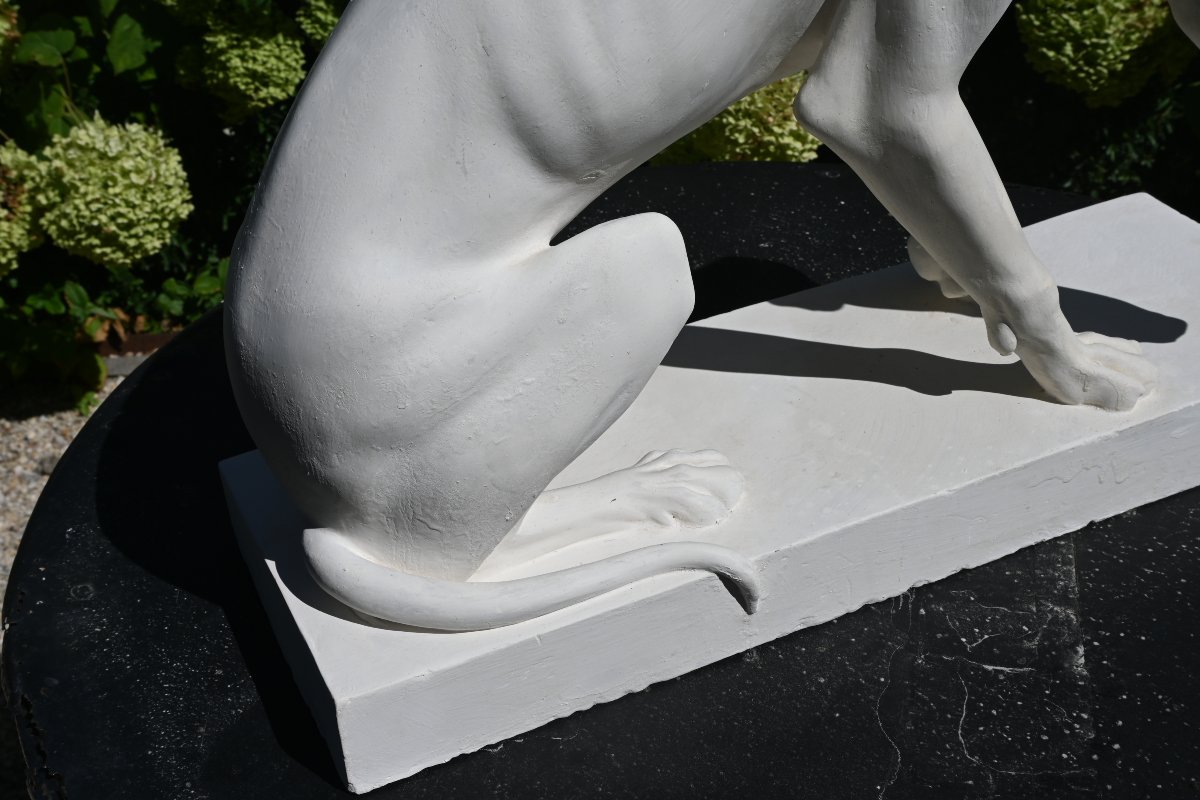 Large Plaster Greyhound Based On An Ancient Marble Sculpture-photo-2