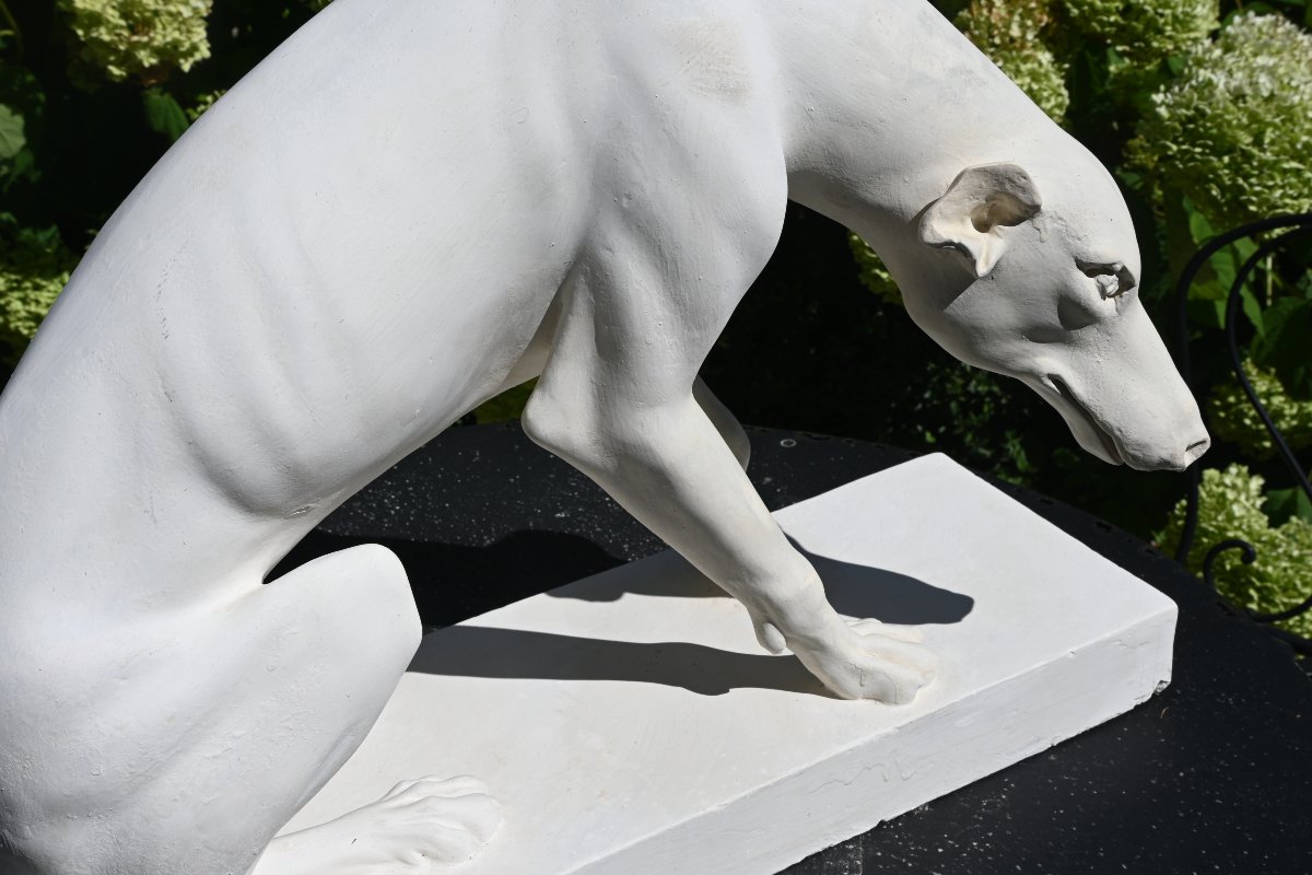 Large Plaster Greyhound Based On An Ancient Marble Sculpture-photo-3