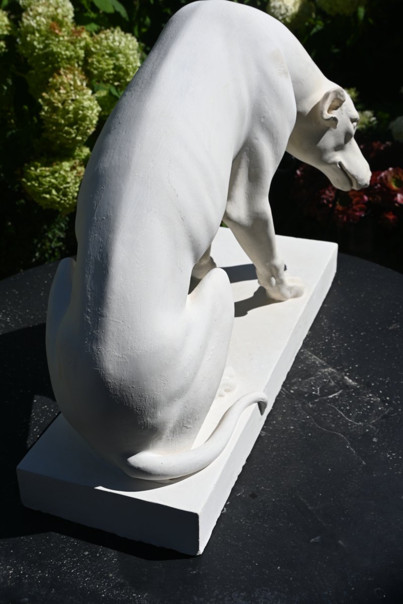Large Plaster Greyhound Based On An Ancient Marble Sculpture-photo-4