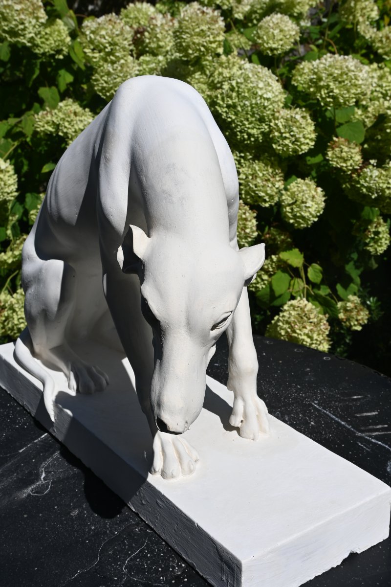 Large Plaster Greyhound Based On An Ancient Marble Sculpture-photo-6
