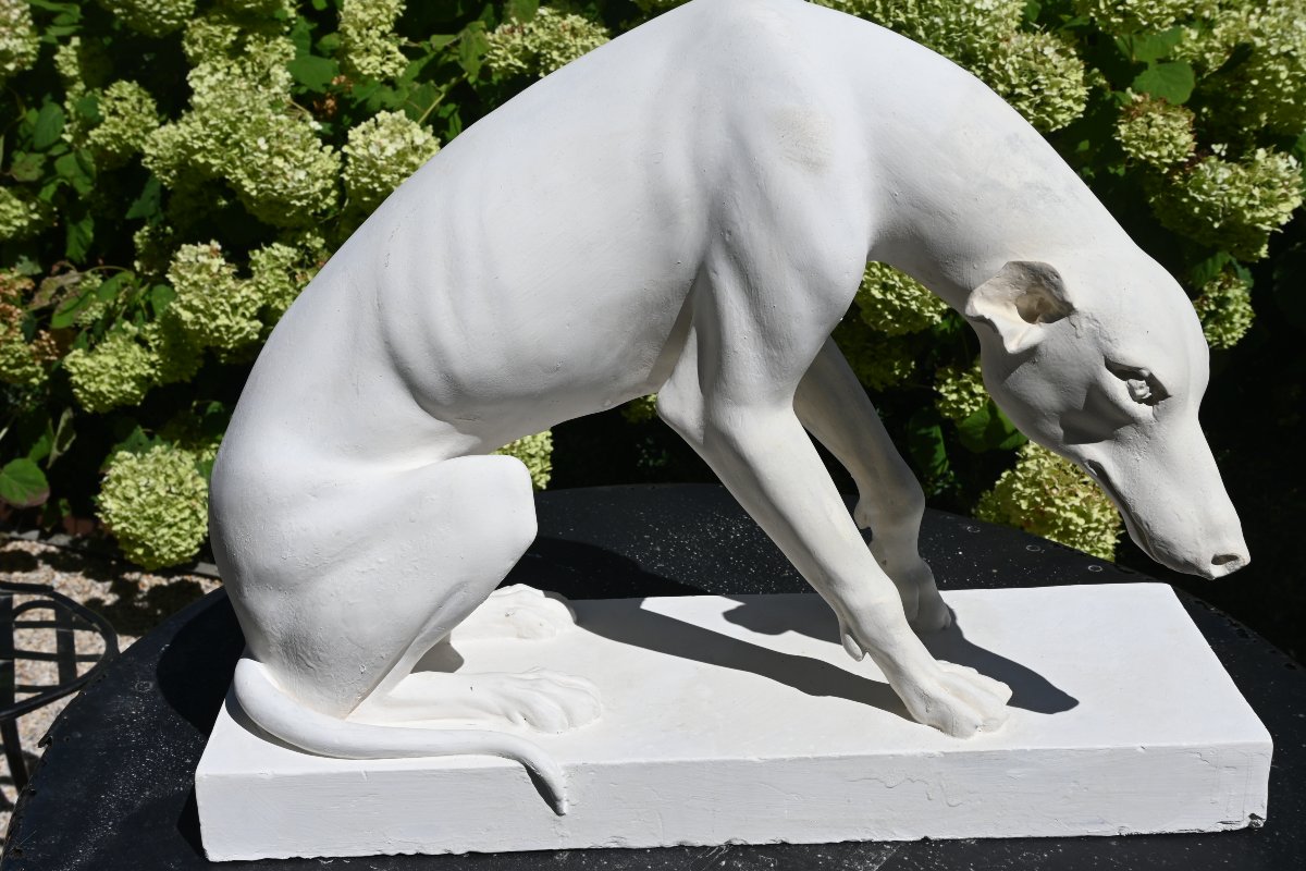 Large Plaster Greyhound Based On An Ancient Marble Sculpture