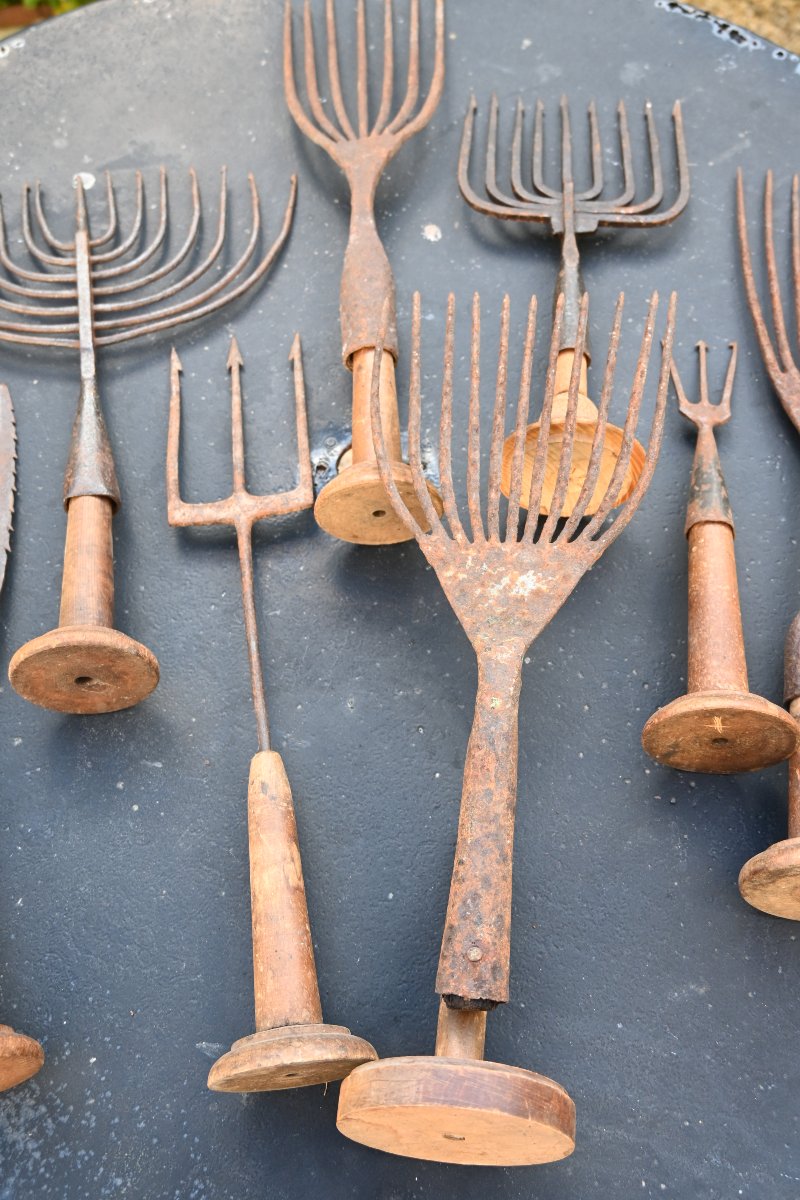 Set Of Eight 19th-century Harpoons Or Foênes-photo-3