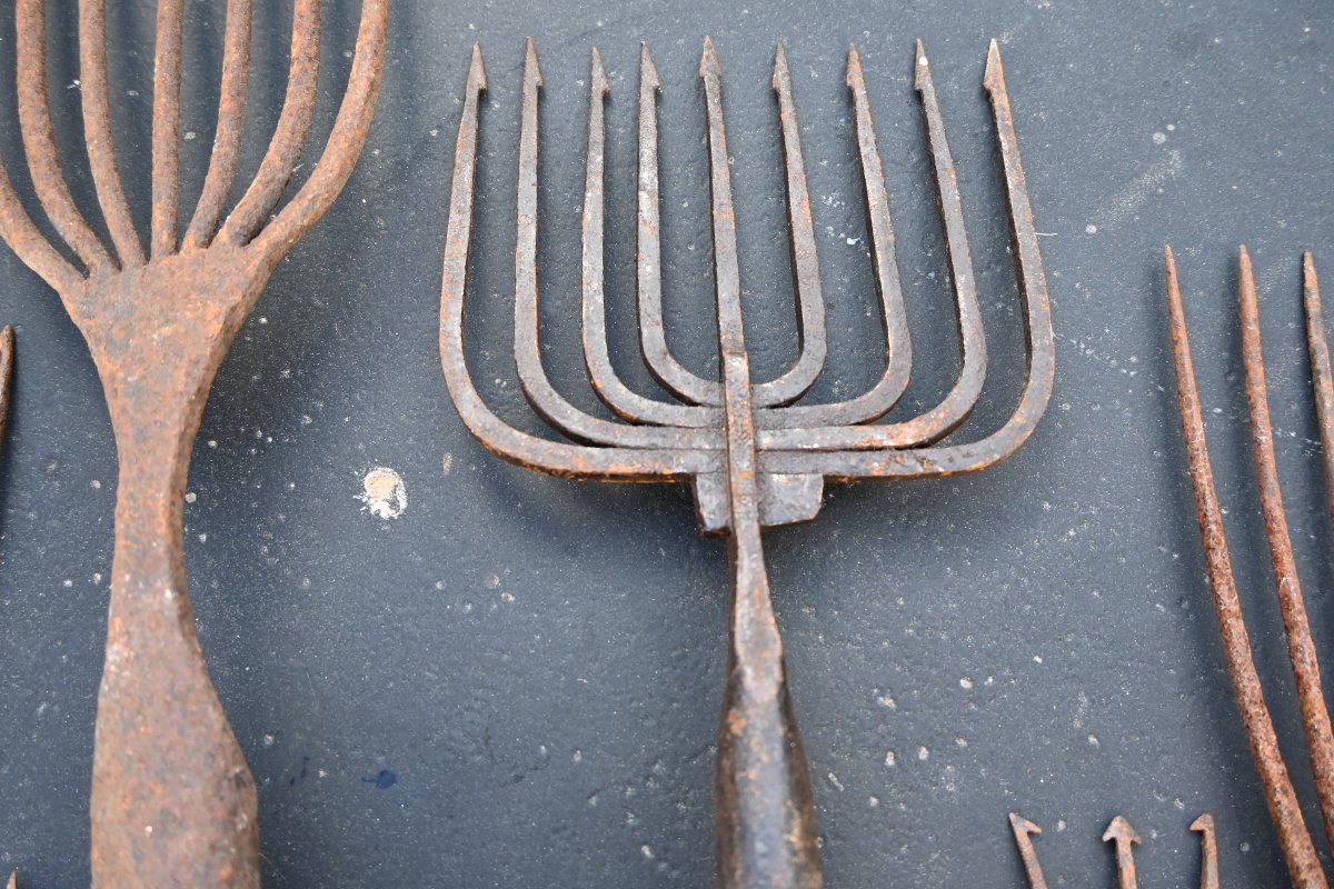 Set Of Eight 19th-century Harpoons Or Foênes-photo-5