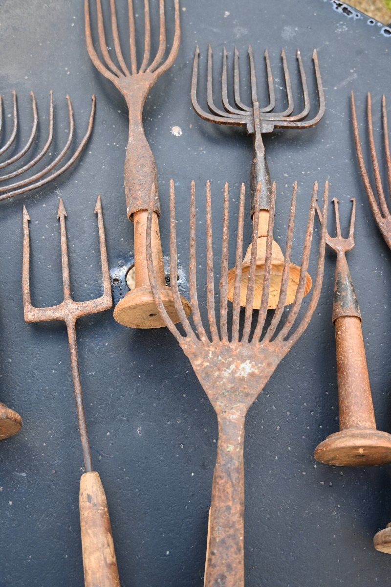 Set Of Eight 19th-century Harpoons Or Foênes-photo-6