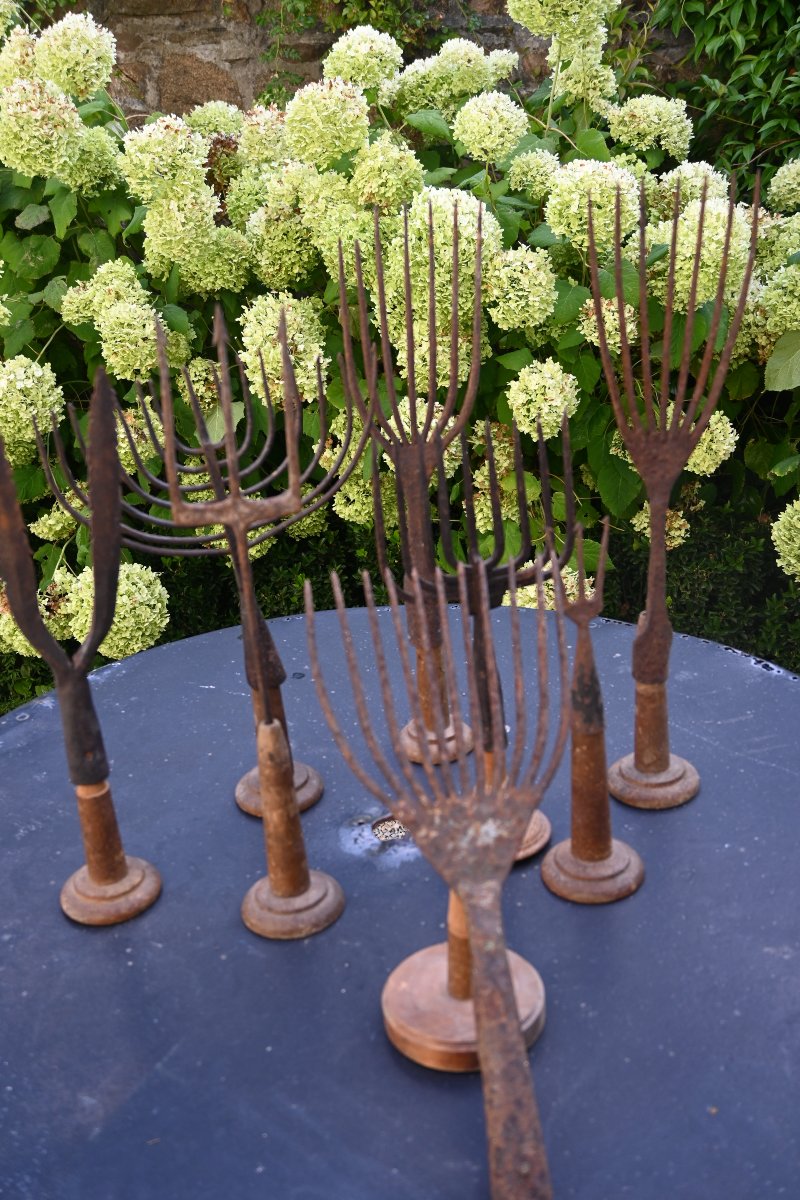 Set Of Eight 19th-century Harpoons Or Foênes-photo-7