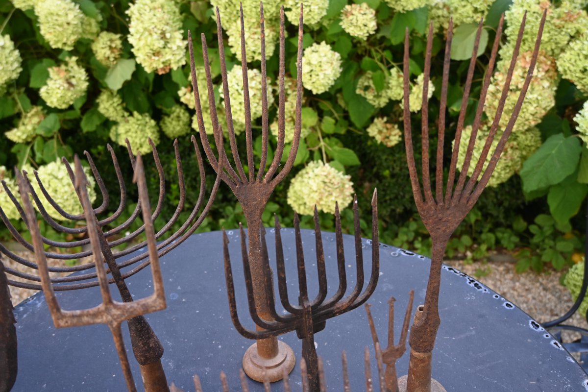 Set Of Eight 19th-century Harpoons Or Foênes-photo-8