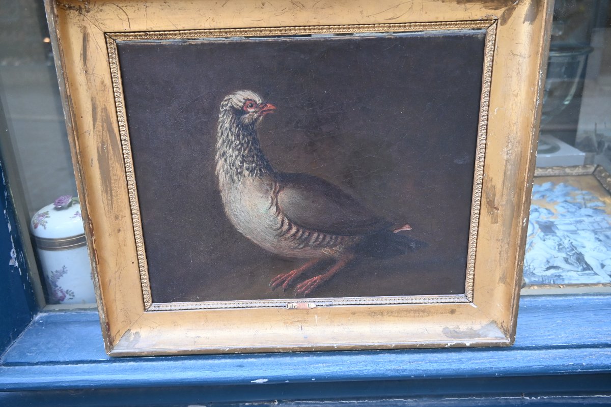 Partridge, Oil On Canvas, 18th Century-photo-3