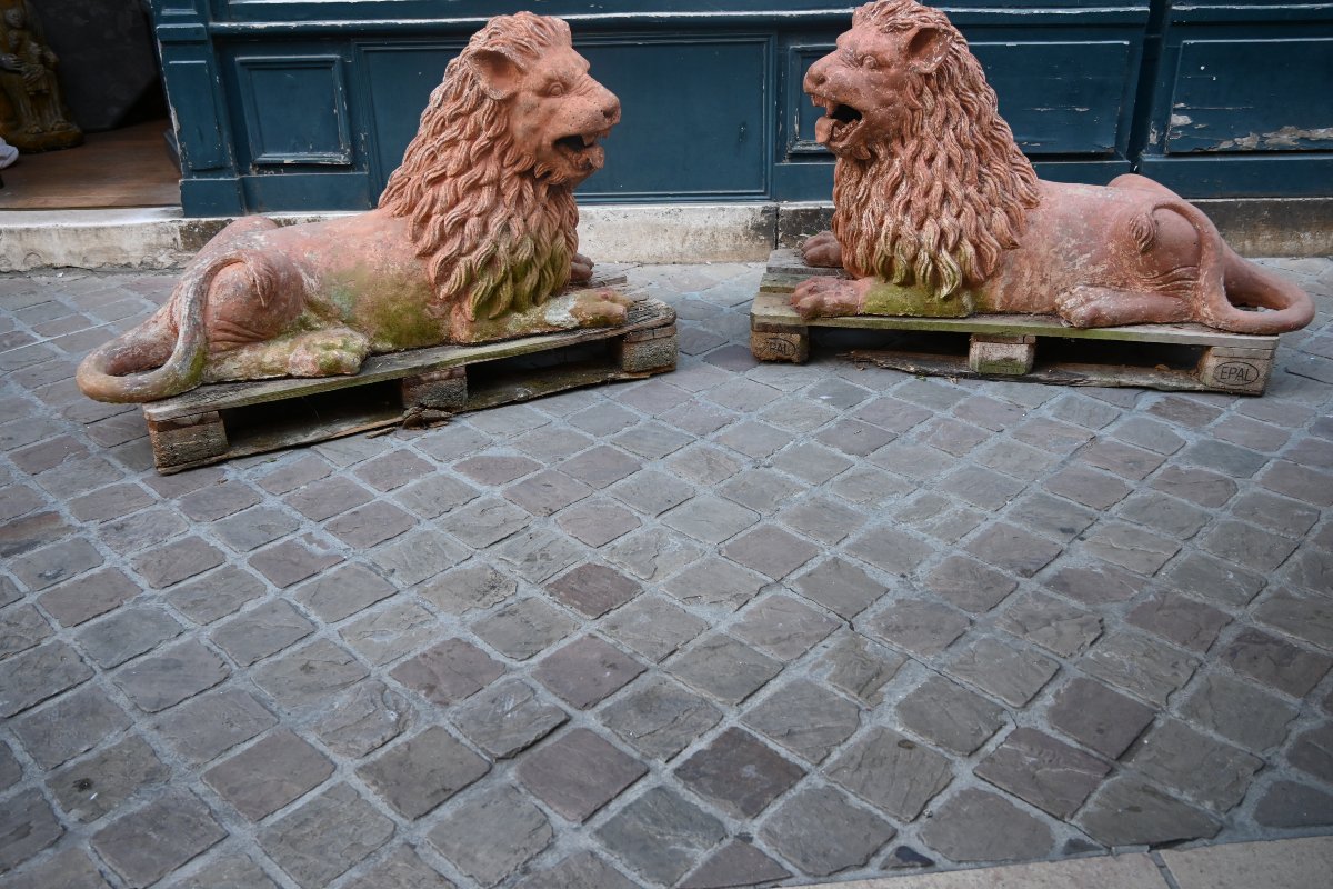 Paire de grands lions en terre cuite XIX-photo-2