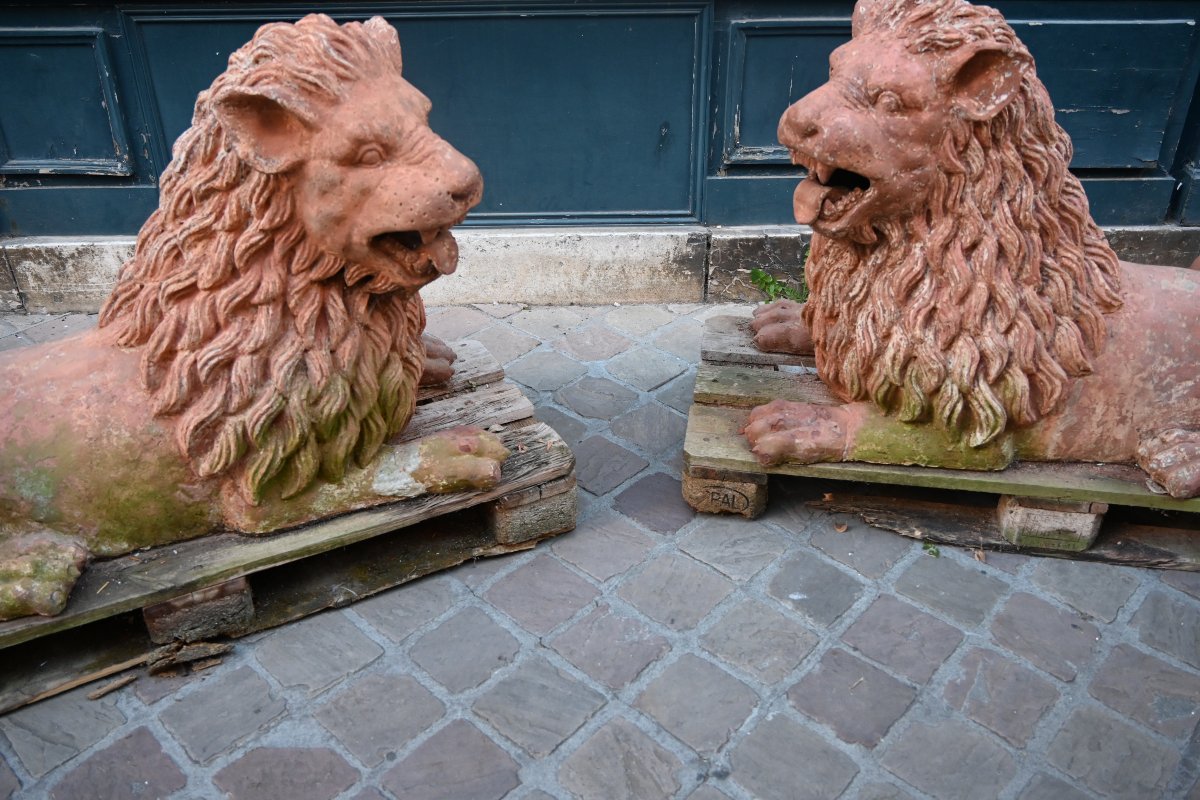 Paire de grands lions en terre cuite XIX-photo-3