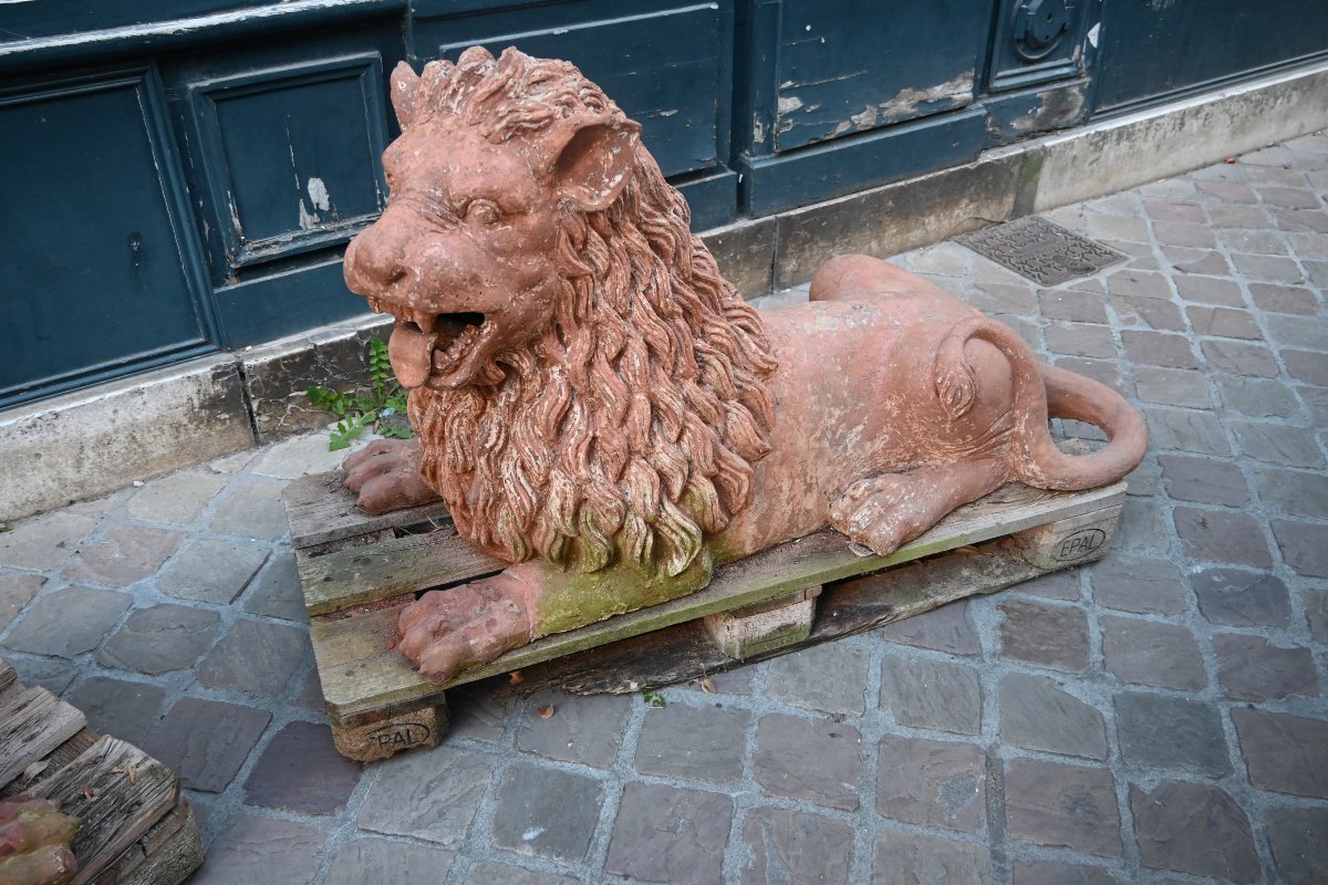 Paire de grands lions en terre cuite XIX-photo-3