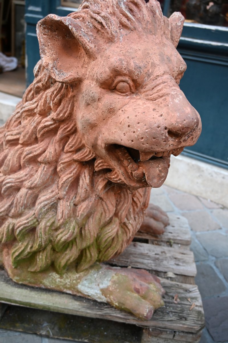 Paire de grands lions en terre cuite XIX-photo-5