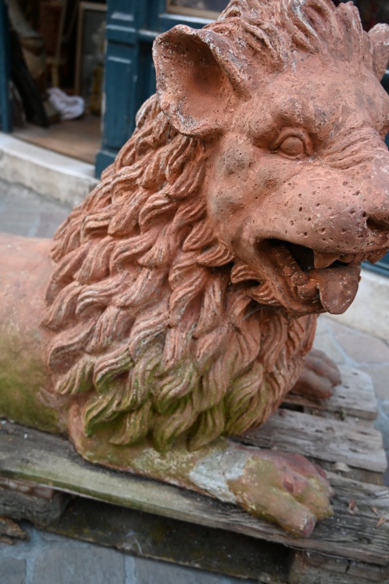 Paire de grands lions en terre cuite XIX-photo-6