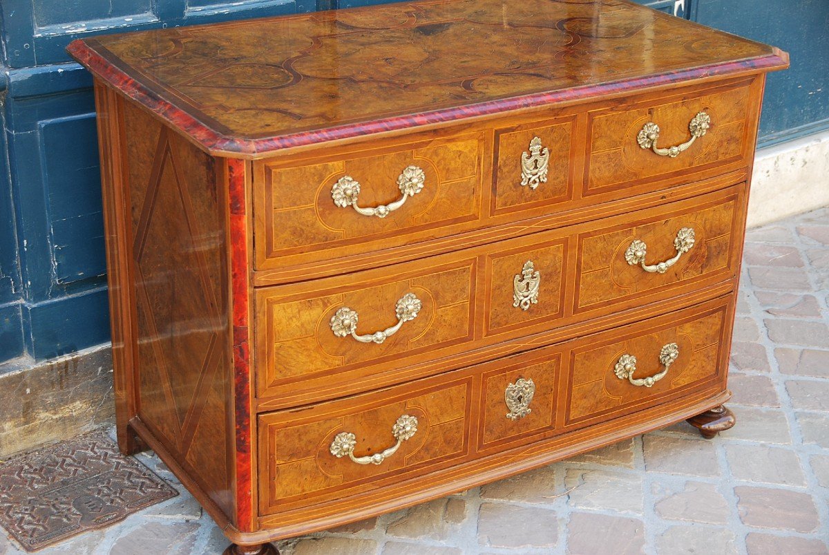 Commode D Louis XIV In Loupe Veneer D Orme-photo-5