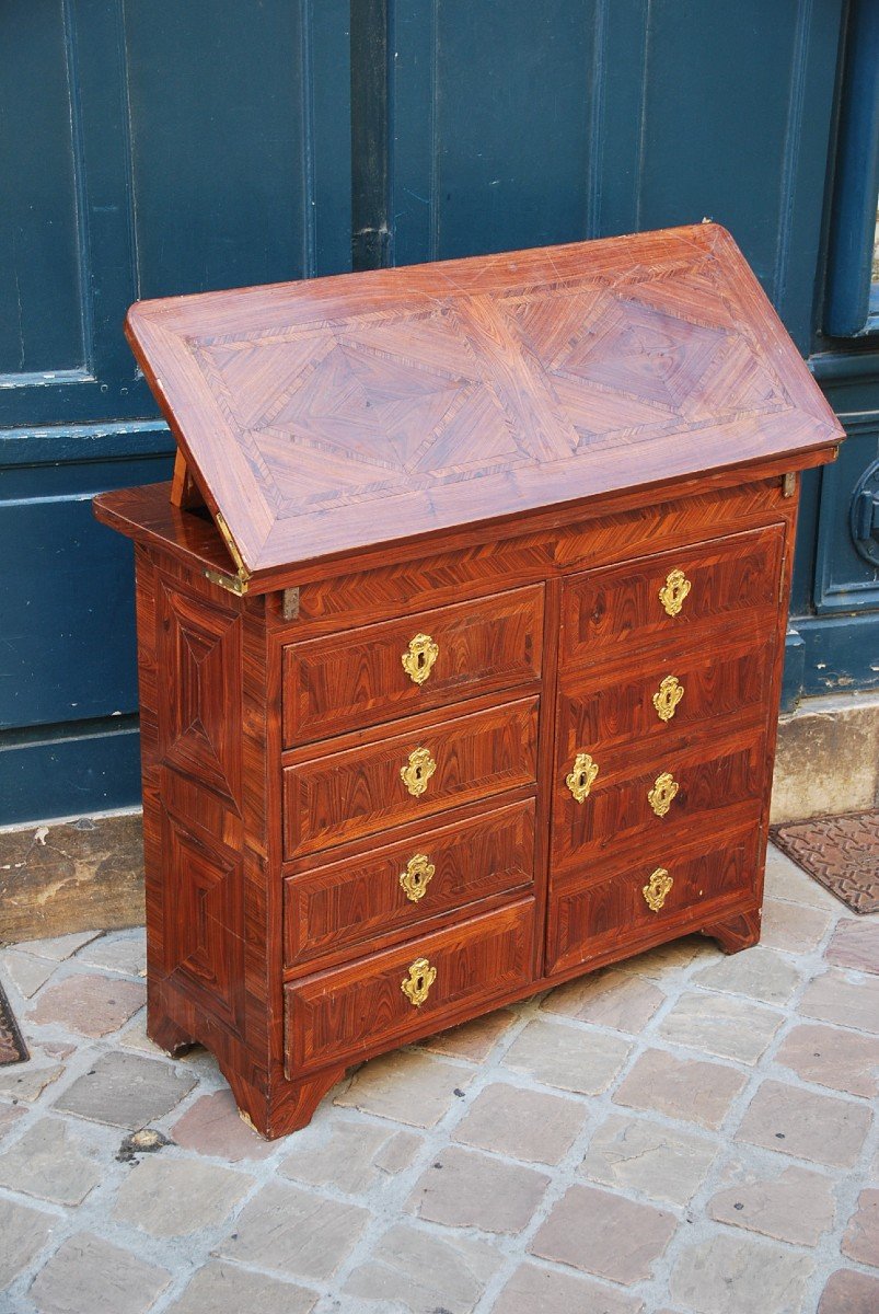 Louis XIV Violet Wood Changer Cabinet