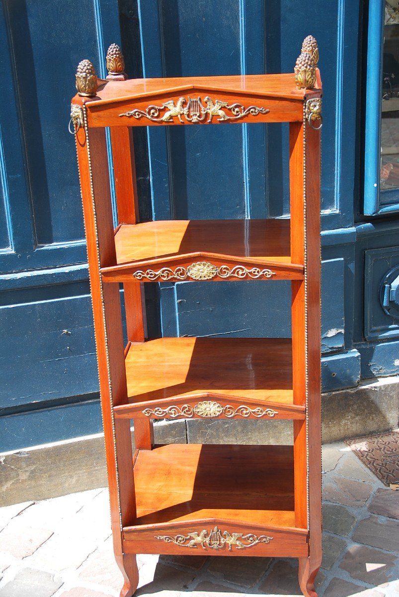 Elegant Library Shelf In Mahogany Sweden D Empire Period XIX-photo-1